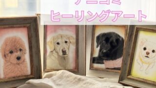 あの子を感じるアニコミ＆ヒーリングアート